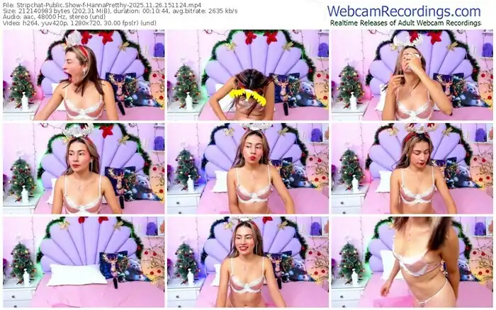 2025/11/26/stripchat-hannapretthy-15-11-24
