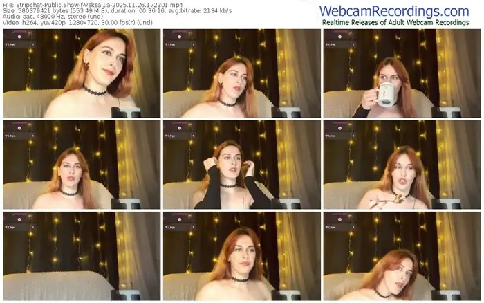 2025/11/26/stripchat-veksal1a-17-23-01