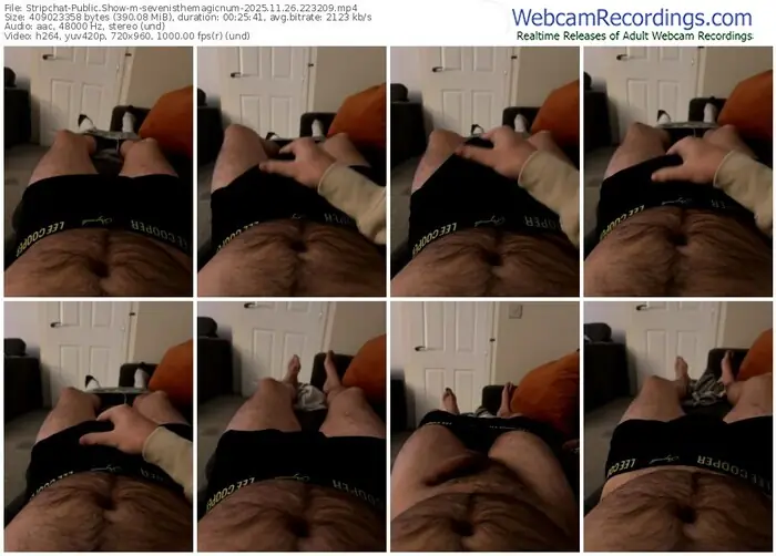 2025/11/26/stripchat-sevenisthemagicnum-22-32-09