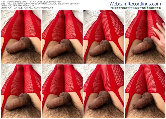 2025/11/26/stripchat-_k4ty-x-19-04-38
