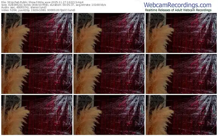 2025/11/27/stripchat-mila_wxw-16-22-13