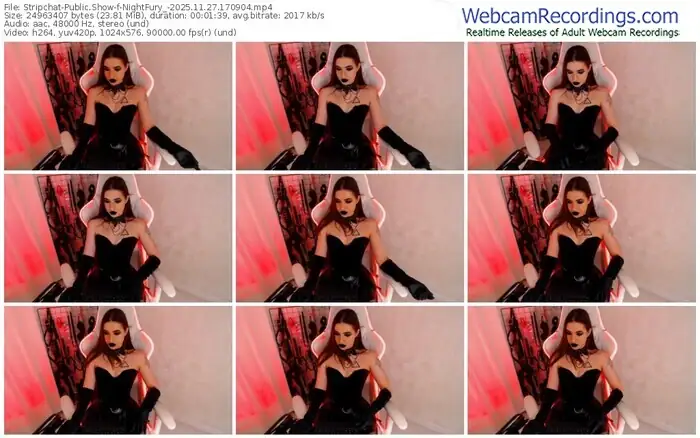 2025/11/27/stripchat-nightfury_-17-09-04