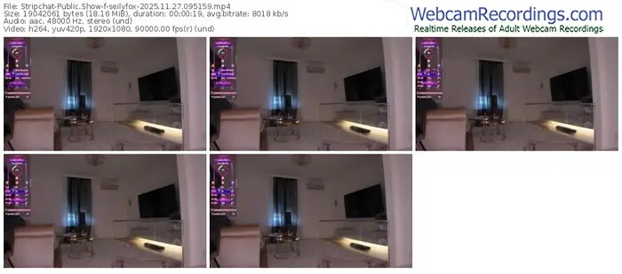 2025/11/27/stripchat-seilyfox-09-51-59