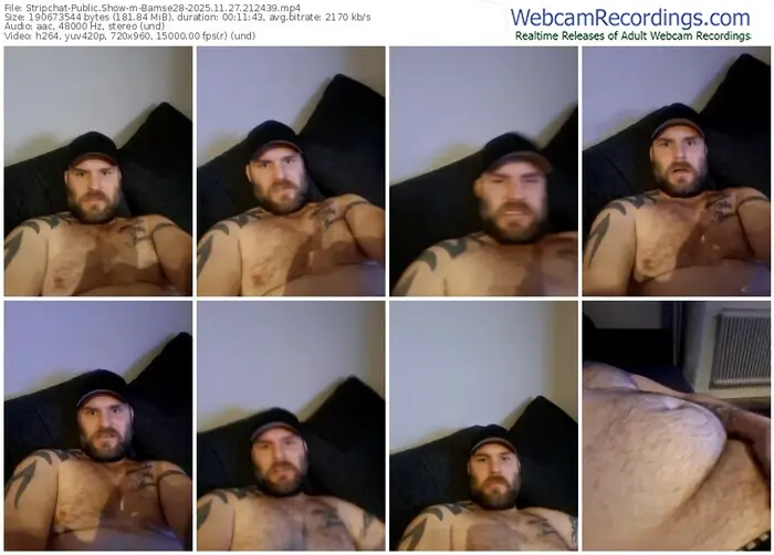 2025/11/27/stripchat-bamse28-21-24-39