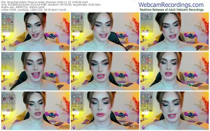 2025/11/27/stripchat-mike_blossom-16-45-36
