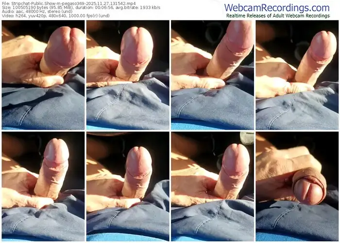 2025/11/27/stripchat-pegaso369-13-15-42
