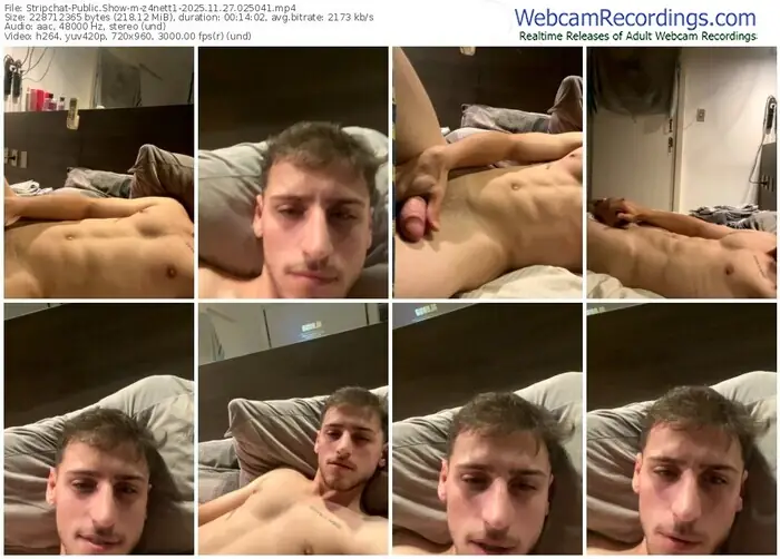 2025/11/27/stripchat-z4nett1-02-50-41