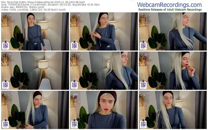 2025/11/28/stripchat-adameshoyer-20-21-48