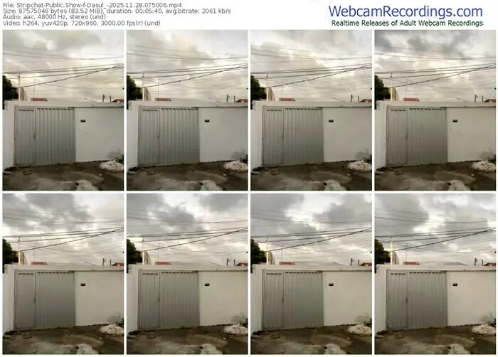 2025/11/28/stripchat-dasul_-07-50-06