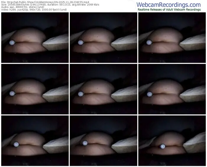 2025/11/28/stripchat-hiddenhoneyldn-23-41-55