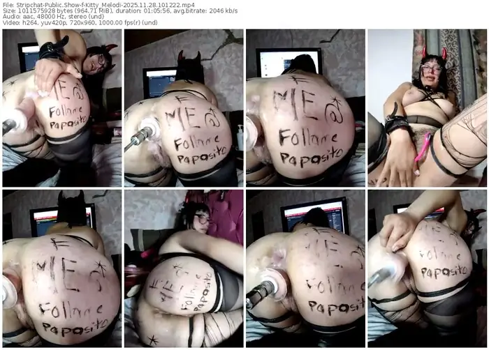 2025/11/28/stripchat-kitty_melodi-10-12-22