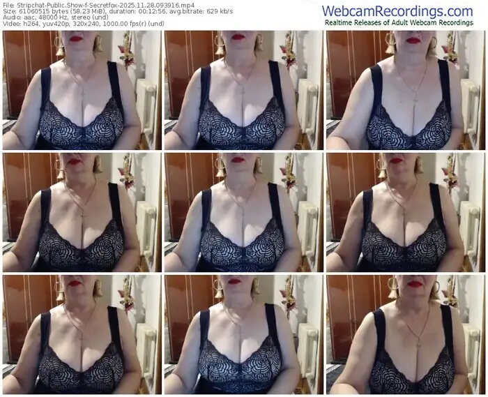 2025/11/28/stripchat-secretfox-09-39-16