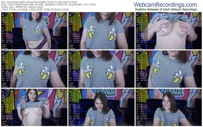 2025/11/28/stripchat-vinnasky-10-19-13