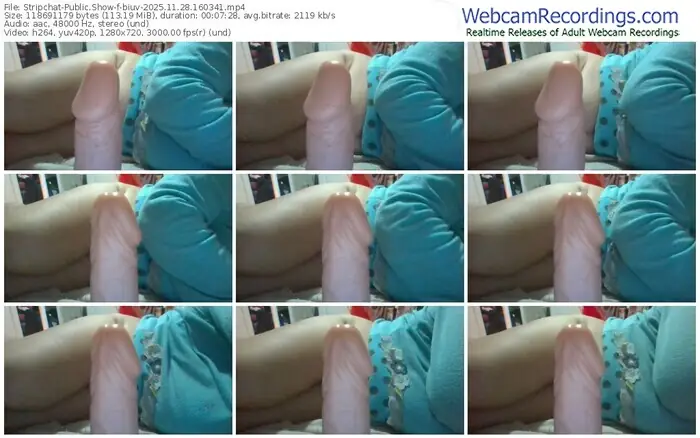 2025/11/28/stripchat-biuv-16-03-41