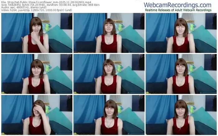 2025/11/28/stripchat-cornflower_mm-06-29-01