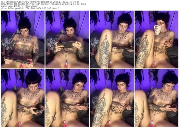 2025/11/28/stripchat-littleinkedblaise666-22-17-34