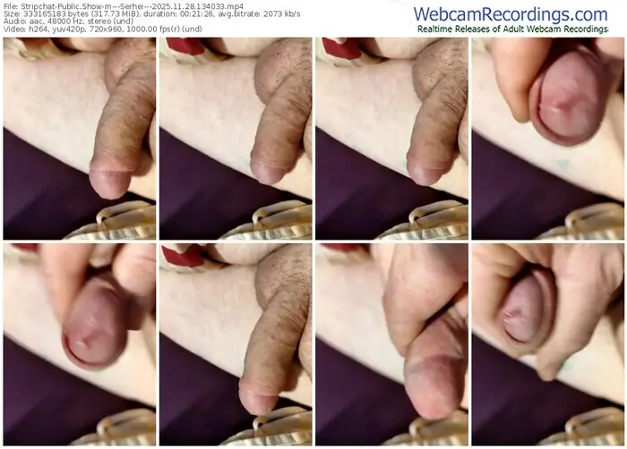 2025/11/28/stripchat---serhei---13-40-33