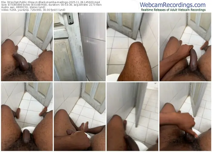 2025/11/28/stripchat-black-mamba-madingo-14-56-03