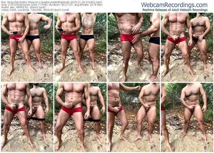 2025/11/28/stripchat-casadolutadorbigstuds-10-18-22