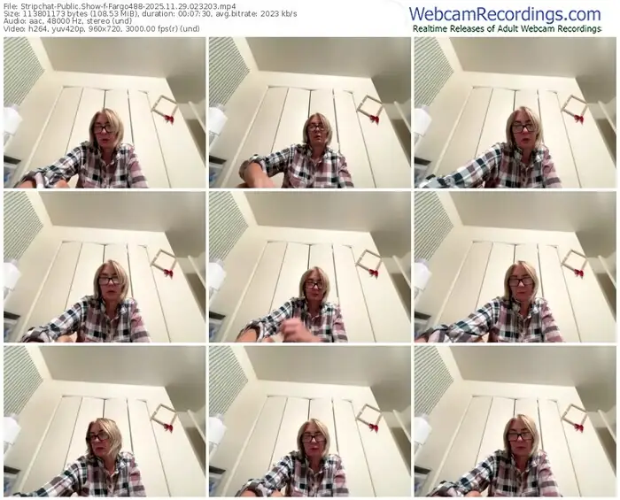 2025/11/29/stripchat-fargo488-02-32-03