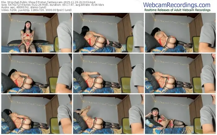2025/11/29/stripchat-tristan_fantasycam-21-21-03