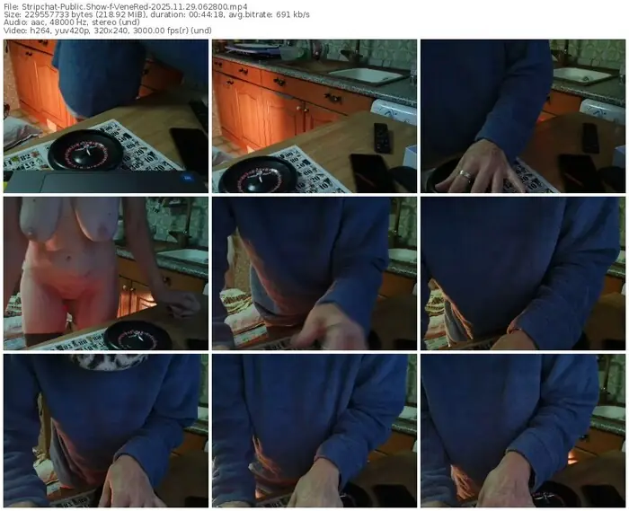 2025/11/29/stripchat-venered-06-28-00