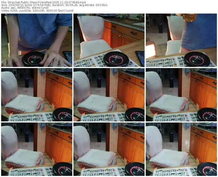 2025/11/29/stripchat-venered-07-46-46