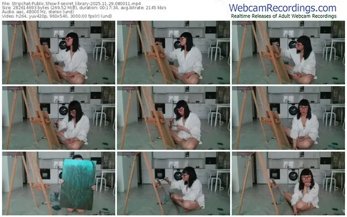 2025/11/29/stripchat-secret_library-08-00-11