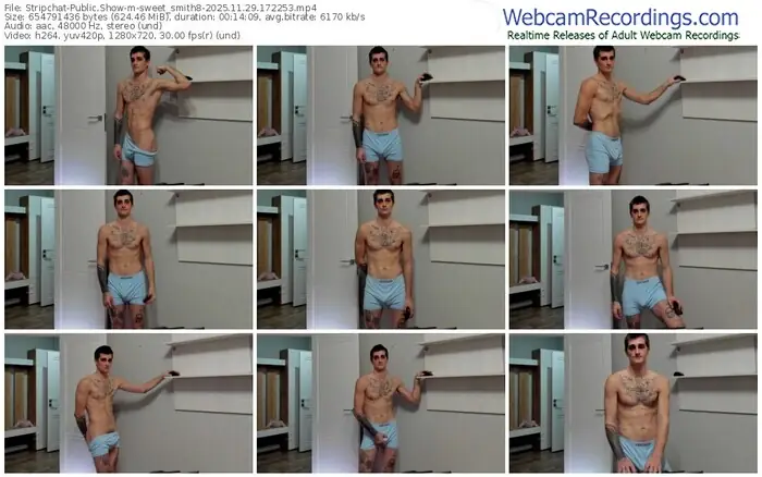 2025/11/29/stripchat-sweet_smith8-17-22-53