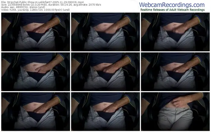 2025/11/29/stripchat-velikifant7-06-00-31