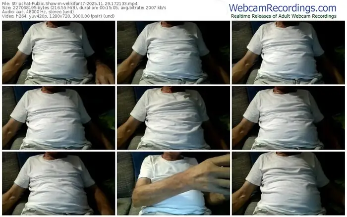 2025/11/29/stripchat-velikifant7-17-21-33