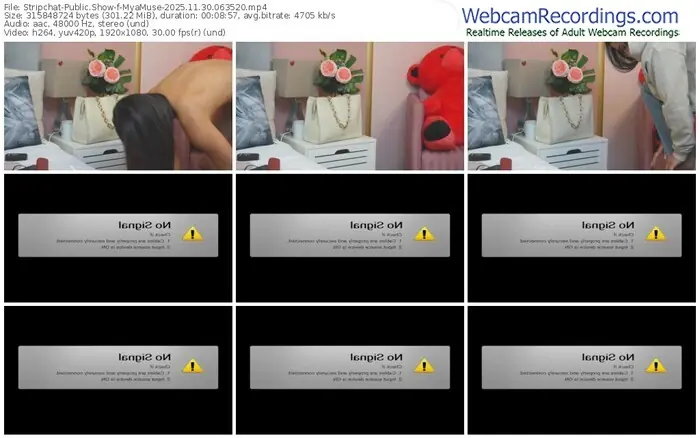 2025/11/30/stripchat-myamuse-06-35-20