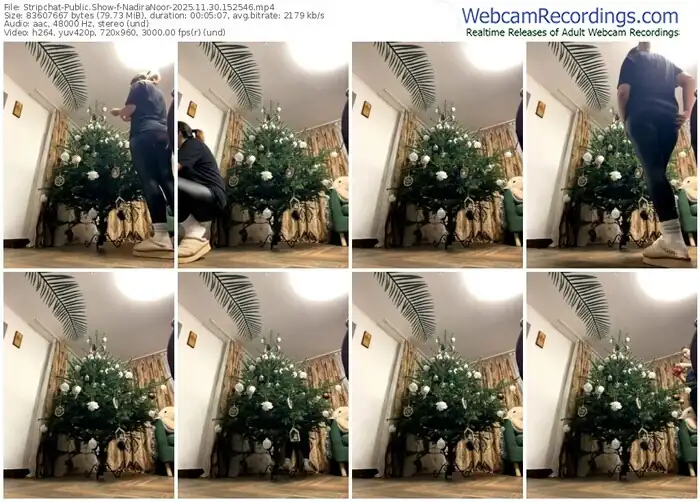 2025/11/30/stripchat-nadiranoor-15-25-46