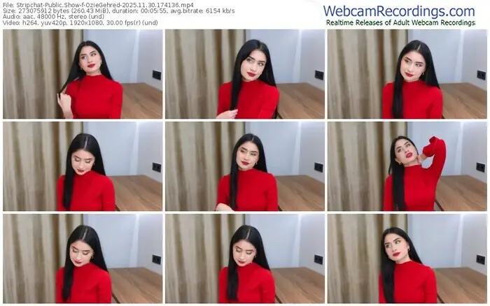 2025/11/30/stripchat-oziegehred-17-41-36