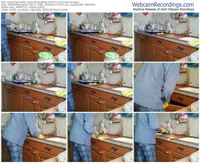 2025/11/30/stripchat-venered-10-41-24