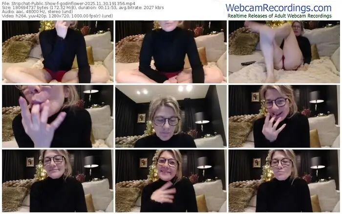 2025/11/30/stripchat-godinflower-19-13-56