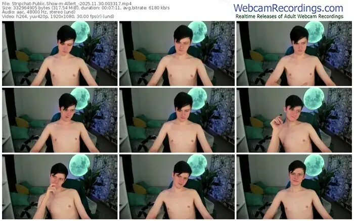 2025/11/30/stripchat-allert_-00-33-17