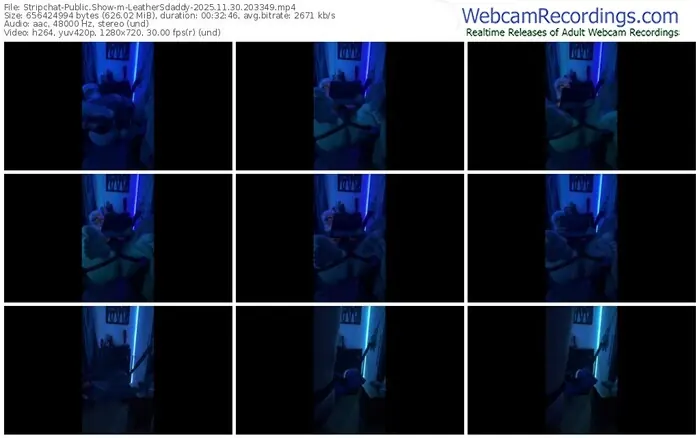 2025/11/30/stripchat-leathersdaddy-20-33-49