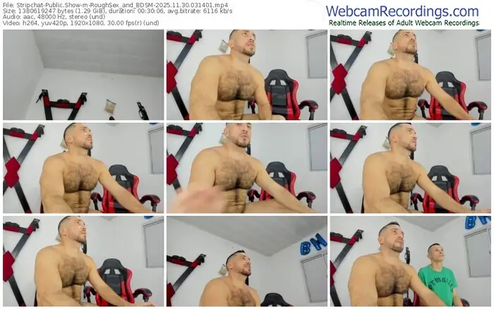 2025/11/30/stripchat-roughsex_and_bdsm-03-14-01