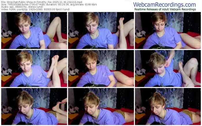 2025/11/30/stripchat-timothy_fox-23-22-19