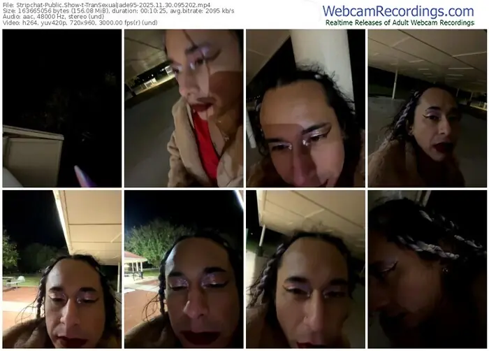 2025/11/30/stripchat-transexualjade95-09-52-02