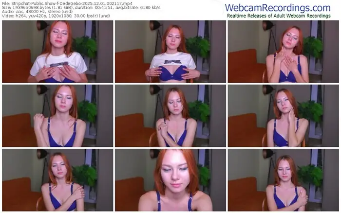 2025/12/01/stripchat-dedegebo-00-21-17