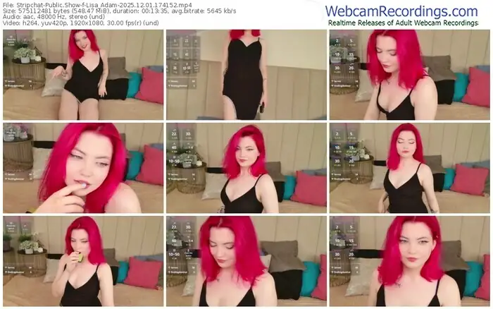 2025/12/01/stripchat-lisa_adam-17-41-52