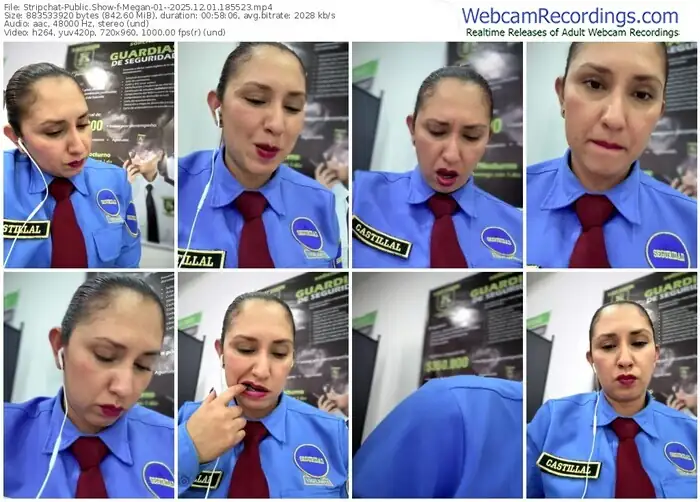 2025/12/01/stripchat-megan-01--18-55-23