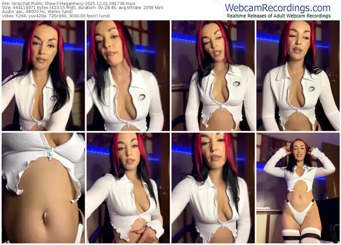2025/12/01/stripchat-meganfoxiy-06-17-38