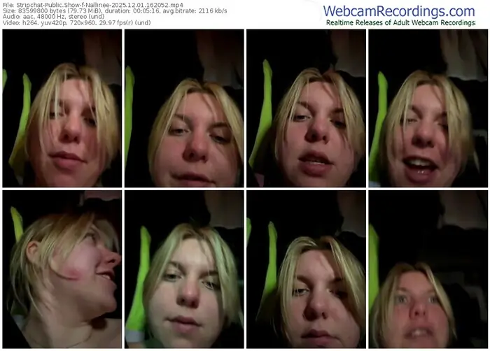 2025/12/01/stripchat-nallinee-16-20-52