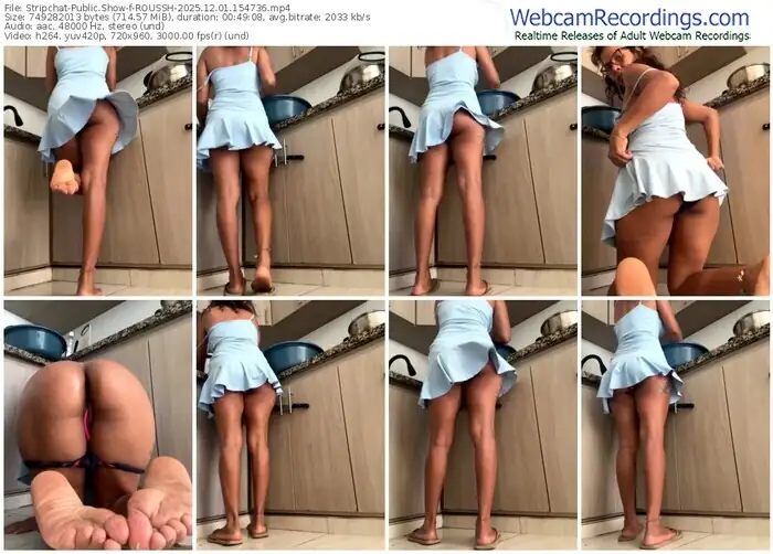 2025/12/01/stripchat-roussh-15-47-36