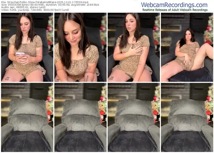 2025/12/01/stripchat-wakeandblaze-17-05-59