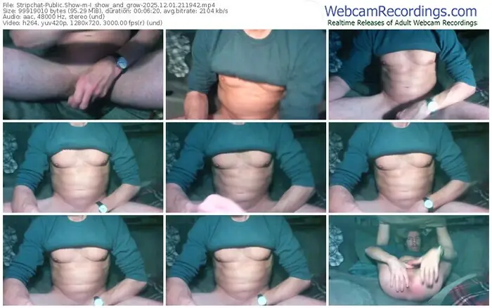 2025/12/01/stripchat-i_show_and_grow-21-19-42