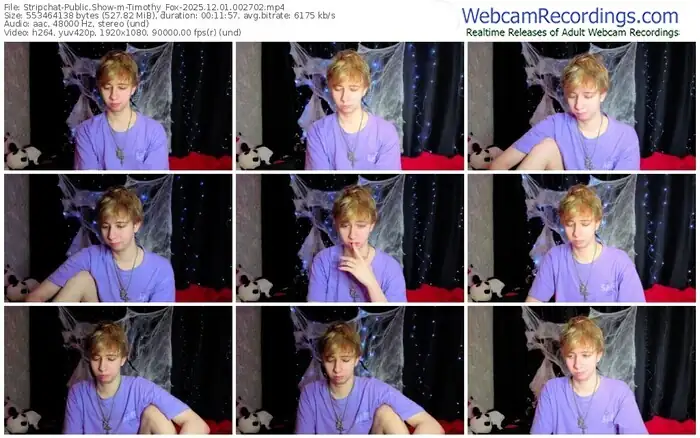 2025/12/01/stripchat-timothy_fox-00-27-02